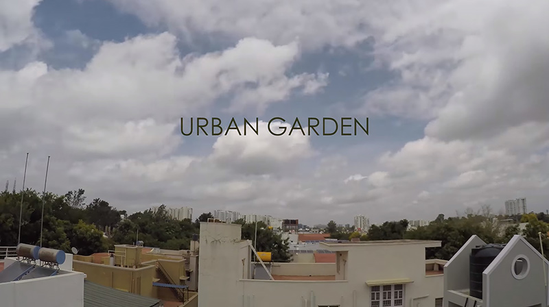 Urban Garden